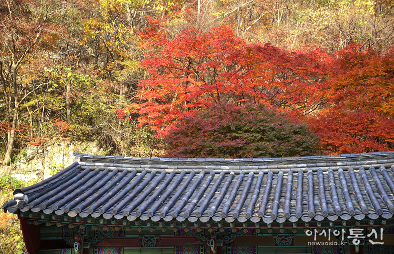 <전라북도 순창군, <strong>"호남의 소금강 강천산 군립공원 가을(강천사)"</strong>> 김광부 기자