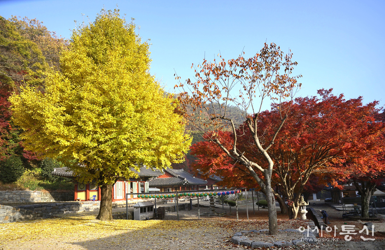 <전라북도 순창군, <strong>"호남의 소금강 강천산 군립공원 가을(강천사)"</strong>> 김광부 기자