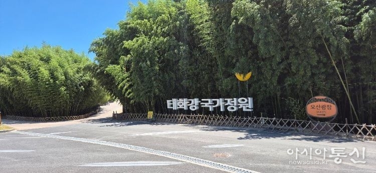 울산 태화강국가정원 대나무 숲.