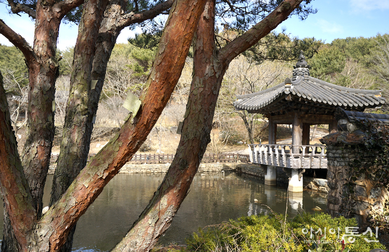 <충남 태안군 안면읍, <strong>"안면도 수목원 아산정원"></strong> 김광부 기자