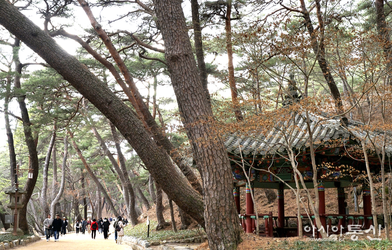 <경남 양산시 하북면, <strong>"봄맞이 한창인 영축산 통도사"</strong>> 김광부 기자
