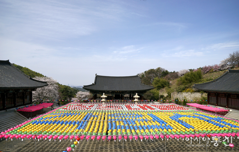 <충남 천안시, <strong>"겹벚꽃과 수양벚꽃이 흐드러지게 핀 천안 각원사 전경".</strong>> 김광부 기자