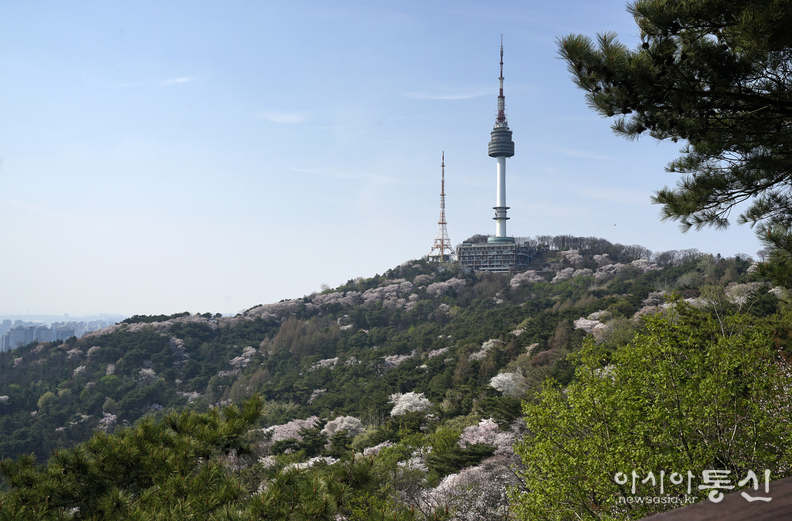 <서울시 중구, <strong>"남산 봄"</strong>> 김광부 기자