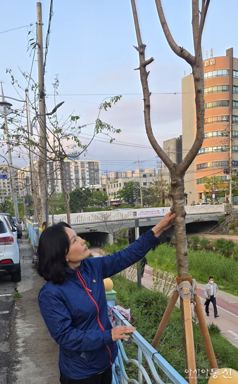 수원특례시의회 김은경 의원