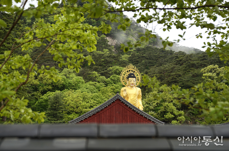 <충북 보은군, <strong>"맑고 청량한 보은 속리산 법주사, 연두빛 계절 풍경"</strong>> 김광부 기자