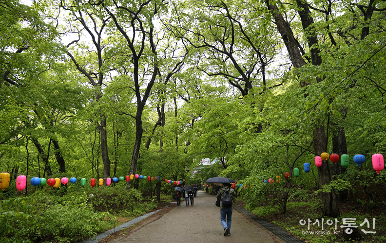 <충북 보은군, <strong>"맑고 청량한 보은 속리산 법주사, 연두빛 계절 풍경"</strong>> 김광부 기자