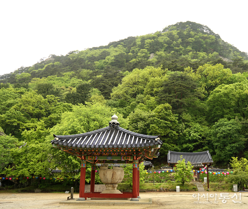 <충북 보은군, <strong>"맑고 청량한 보은 속리산 법주사, 연두빛 계절 풍경"</strong>> 김광부 기자