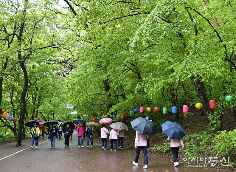 <충북 보은군, <strong>"맑고 청량한 보은 속리산 법주사, 연두빛 계절 풍경"</strong>> 김광부 기자