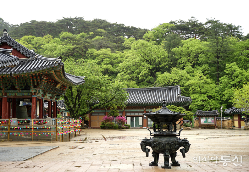<충북 보은군, <strong>"맑고 청량한 보은 속리산 법주사, 연두빛 계절 풍경"</strong>> 김광부 기자