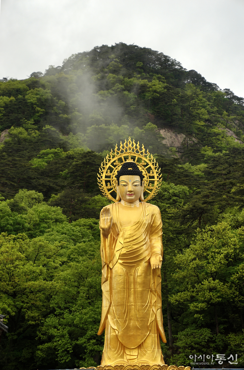 <충북 보은군, <strong>"맑고 청량한 보은 속리산 법주사, 연두빛 계절 풍경"</strong>> 김광부 기자