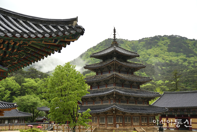 <충북 보은군,<strong> "고요한 산길, 마음이 쉬는 보은 속리산 법주사"</strong>> 김광부 기자