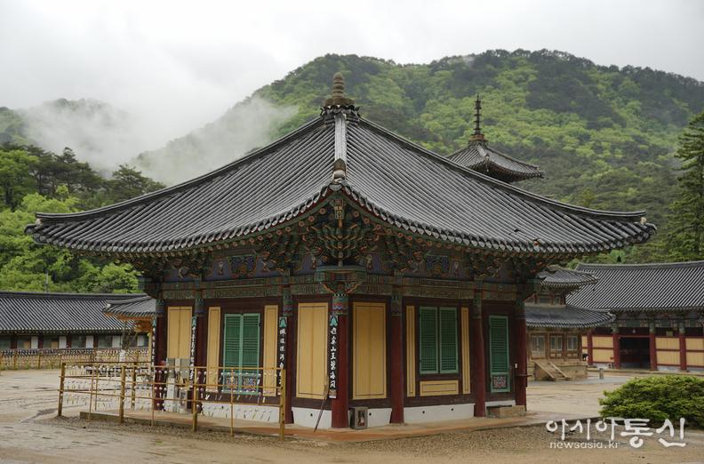 <충북 보은군, <strong>"고요와 평화의 숲길, '쉼'을 온전히 느낄수 있는 보은 속리산 법주사"</strong>> 김광부 기자