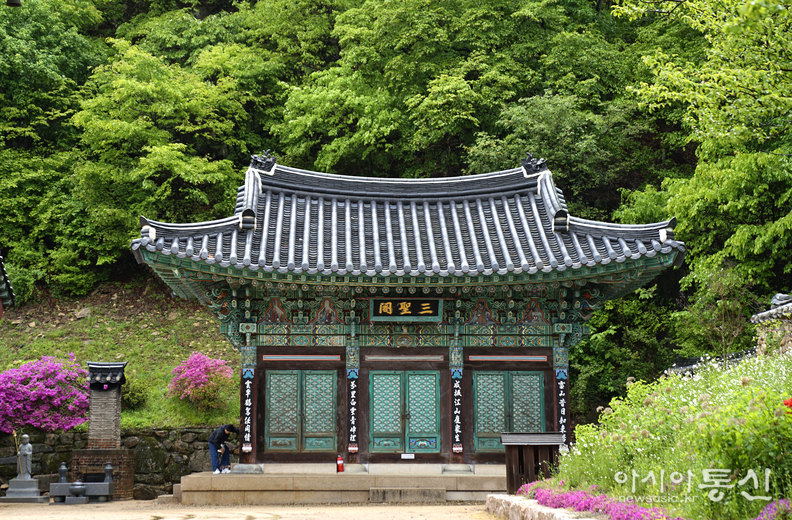 <충북 보은군, <strong>"고요와 평화의 숲길, '쉼'을 온전히 느낄수 있는 보은 속리산 법주사"</strong>> 김광부 기자