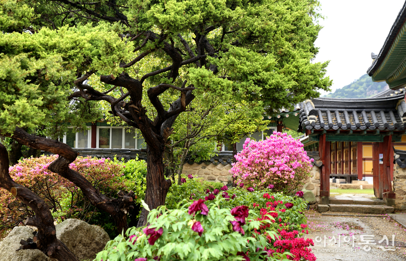 <충북 보은군, <strong>"고요와 평화의 숲길, '쉼'을 온전히 느낄수 있는 보은 속리산 법주사"</strong>> 김광부 기자