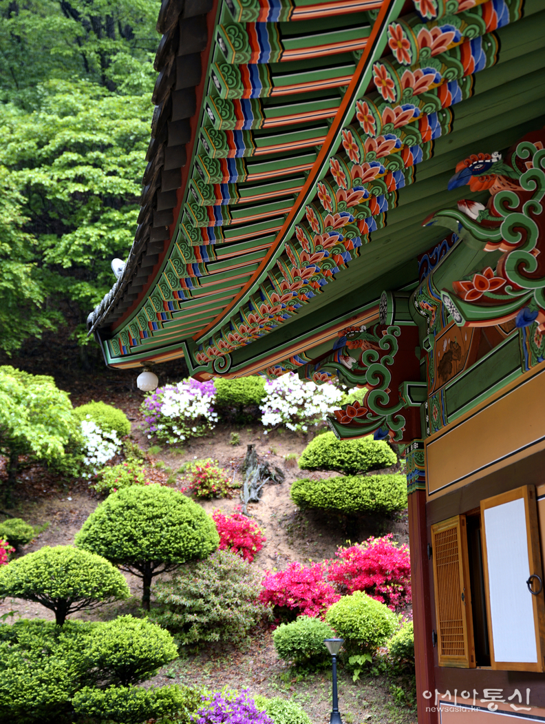 <충북 보은군, <strong>"마음을 내려놓고 자연과 함께 시간을 누릴수 있는 속리산 법주사의 산내 암자 탈골암"</strong>> 김광부 기자