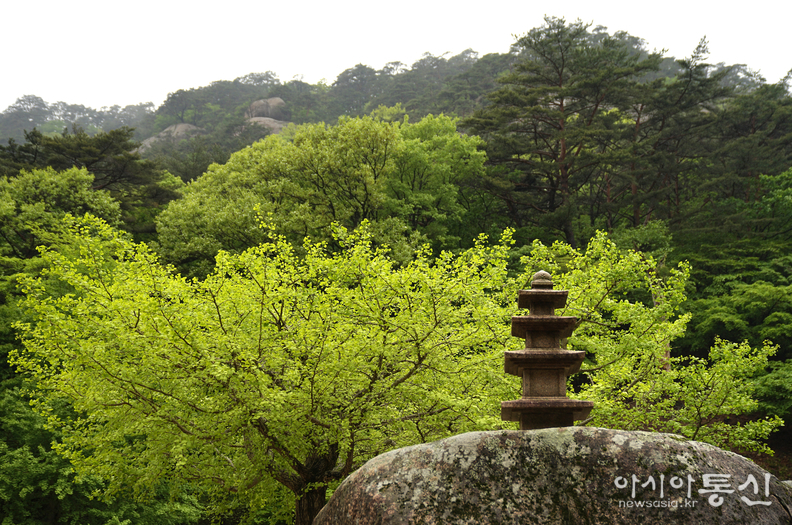 <충북 보은군, <strong>"마음을 내려놓고 자연과 함께 시간을 누릴수 있는 속리산 법주사의 산내 암자 탈골암"</strong>> 김광부 기자