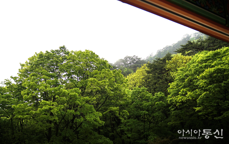 <충북 보은군, <strong>"마음을 내려놓고 자연과 함께 시간을 누릴수 있는 속리산 법주사의 산내 암자 탈골암"</strong>> 김광부 기자