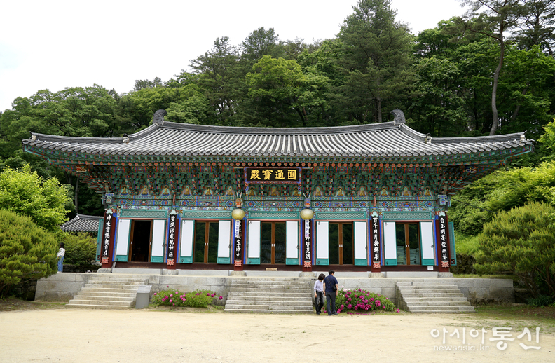 <강원도 홍천, <strong>"홍천 수타사 산소길, 공작산 생태숲 불두화 만개"</strong>> 