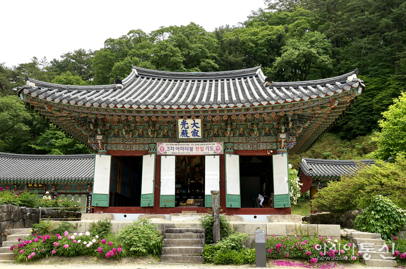 <강원도 홍천, <strong>"홍천 수타사 산소길, 공작산 생태숲 불두화 만개"</strong>> 