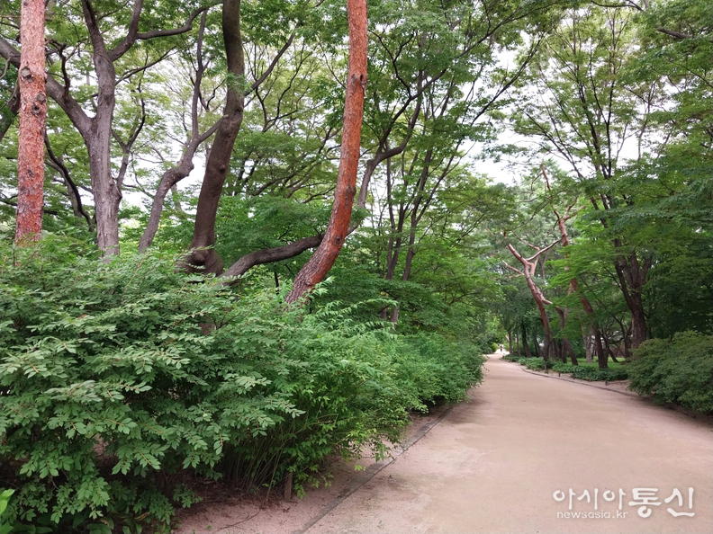 <서울시 종로구, <strong>"창경궁 여름 (사적 제123호)"</strong>> 김광부 기자