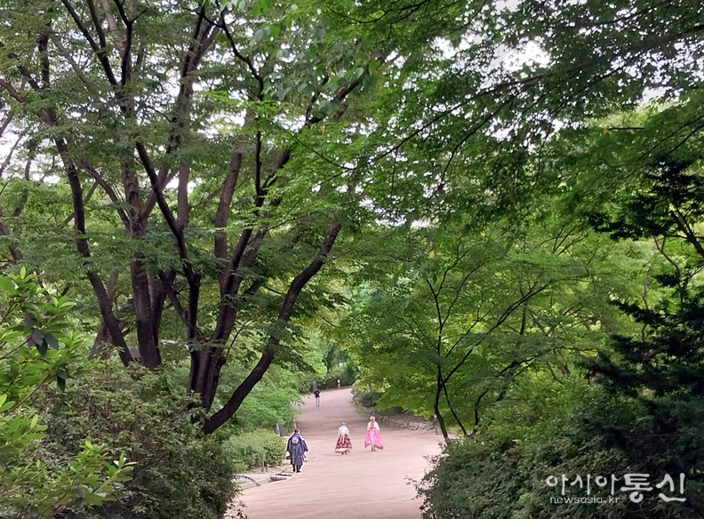 <서울시 종로구, <strong>"창경궁 여름 (사적 제123호)"</strong>> 김광부 기자