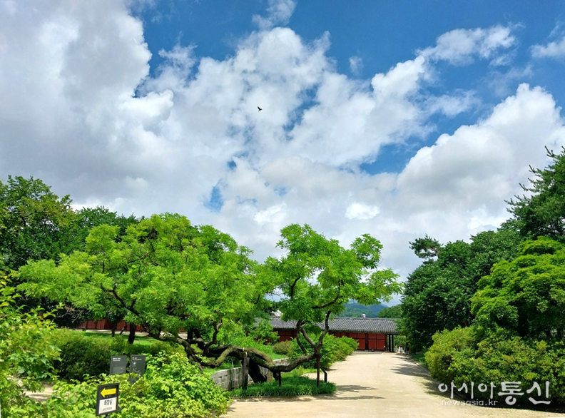 <서울시 종로구, <strong>"창경궁 여름 (사적 제123호)"</strong>> 김광부 기자
