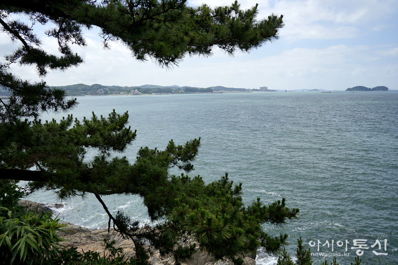 <충남 보령시, <strong>"보령 죽도 상화원 바닷길 여름"</strong>> 김광부 기자