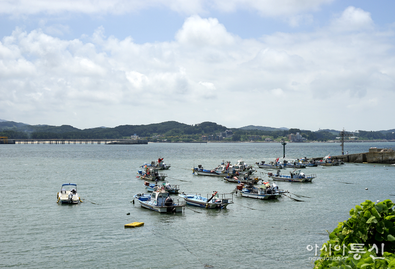 <충남 보령시, <strong>"보령 죽도 상화원 바닷길 여름"</strong>> 김광부 기자