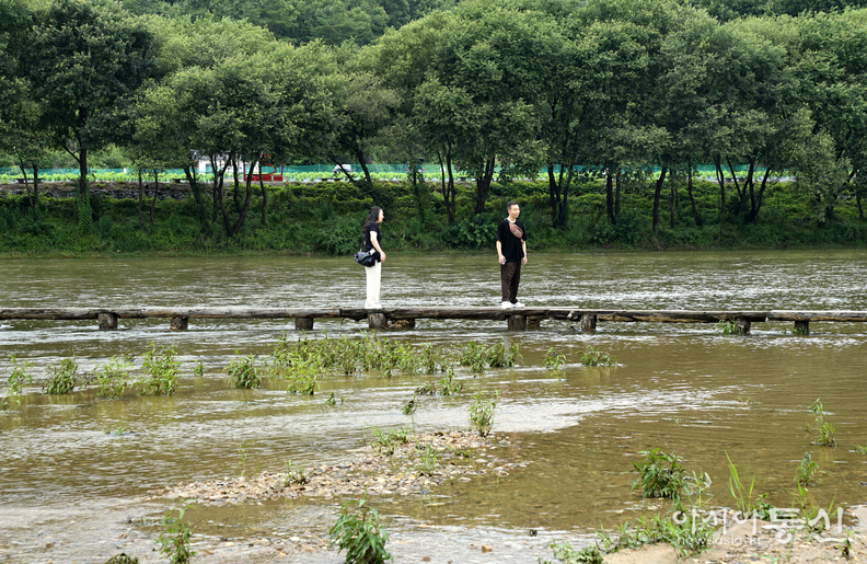 <경북 영주시, "<strong>수백년의 역사와 전통이 오롯이 남아있는 무섬마을 & 360년을 이어온 무섬마을 외나무다리"</strong>> 김광부 기자