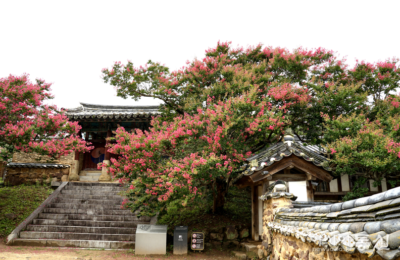 <경북 안동시 병산서원, <strong>"사적 제260호로 지정, 유네스코 세계유산에 등재된 서원(서애 류성룡 선생의 혼이 깃든 병산서원)"</strong>> 김광부 기자