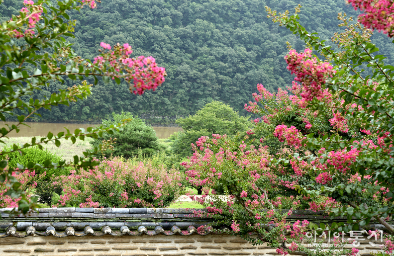 <경북 안동시 병산서원, <strong>"사적 제260호로 지정, 유네스코 세계유산에 등재된 서원(서애 류성룡 선생의 혼이 깃든 병산서원)"</strong>> 김광부 기자