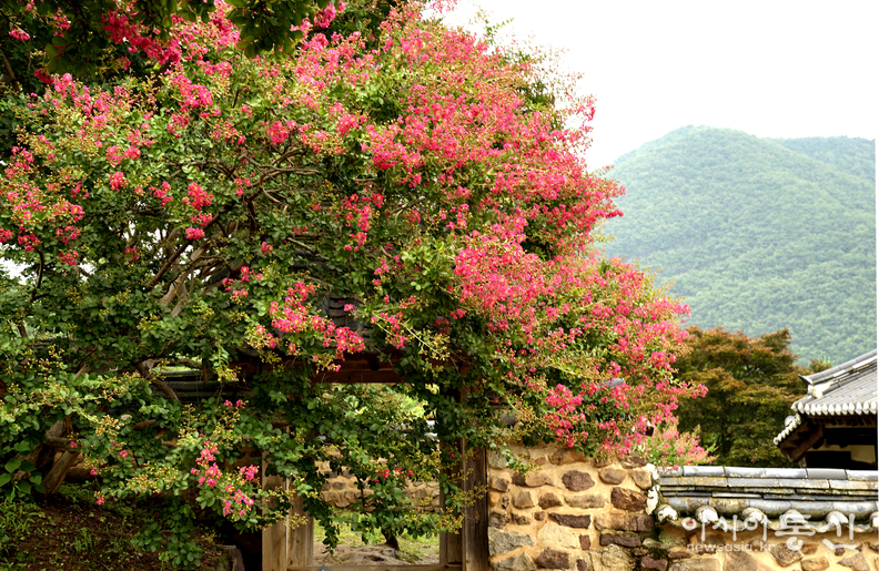 <경북 안동시 병산서원, <strong>"사적 제260호로 지정, 유네스코 세계유산에 등재된 서원(서애 류성룡 선생의 혼이 깃든 병산서원)"</strong>> 김광부 기자