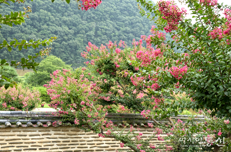 <경북 안동시 병산서원, <strong>"사적 제260호로 지정, 유네스코 세계유산에 등재된 서원(서애 류성룡 선생의 혼이 깃든 병산서원)"</strong>> 김광부 기자