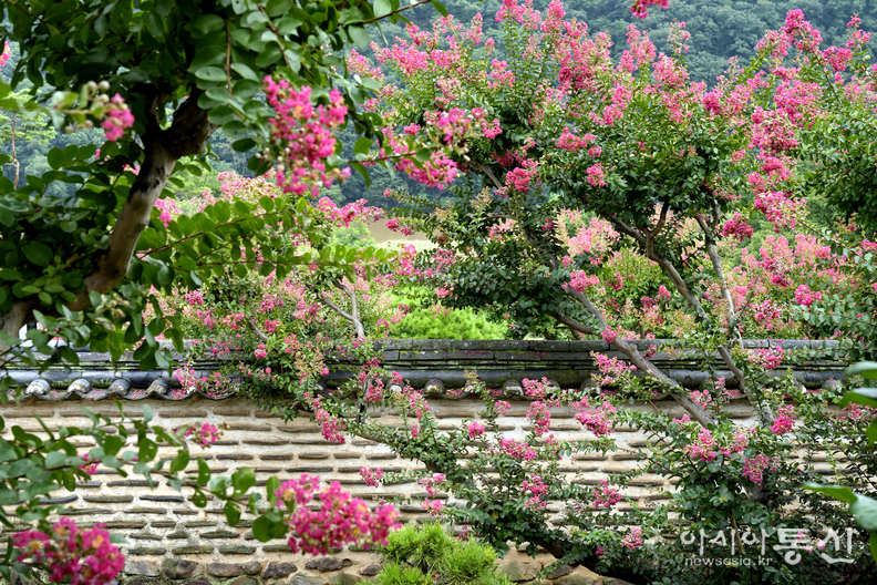 <경북 안동시 병산서원, <strong>"사적 제260호로 지정, 유네스코 세계유산에 등재된 서원(서애 류성룡 선생의 혼이 깃든 병산서원)"</strong>> 김광부 기자