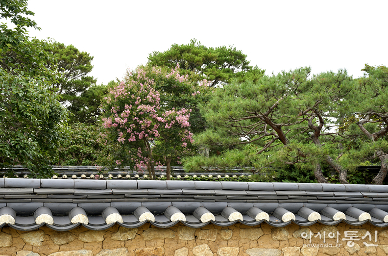 <경북 안동시, <strong>"한국의 역사마을 로서 유네스코 세계문화유산에 등재된, 안동하회마을 여름 풍경"</strong>> 김광부 기자