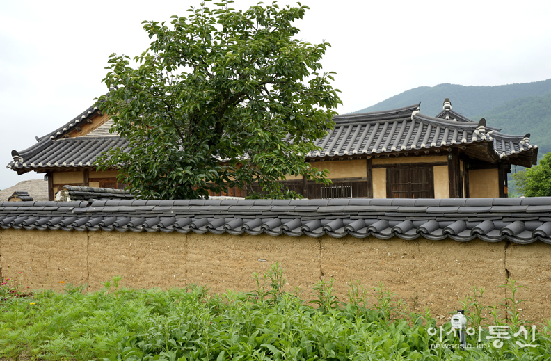 <경북 안동시, <strong>"한국의 역사마을 로서 유네스코 세계문화유산에 등재된, 안동하회마을 여름 풍경"</strong>> 김광부 기자