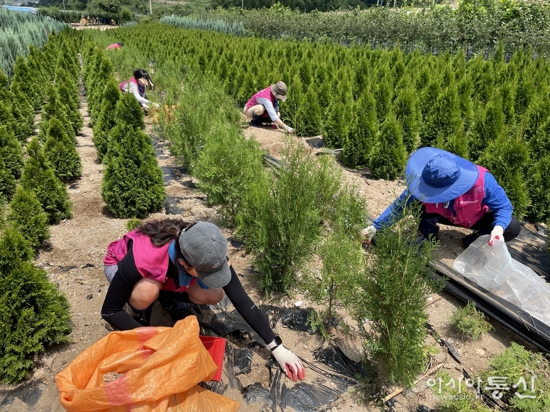  24일 충남 서산시 수해현장에서 피해복구 지원에 나선 강남구 자원봉사단