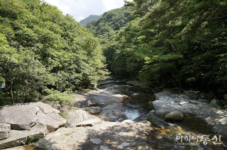 <전라북도 무주군 설천면,<strong> "무한계곡(無限溪谷) 따라 걷는 무주구천동어사길 힐링 여행"</strong>> 김광부 기자