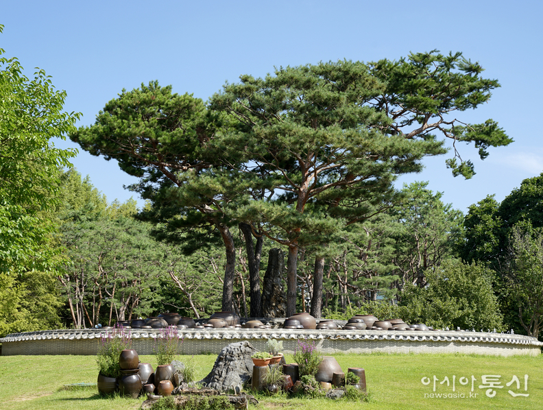 <경기도 양평군 양서면, <strong>"물과 꽃의 정원 세미원, ('독수리 5형제를 부탁해' 촬영지 항아리 분수대)"</strong>> 김광부 기자