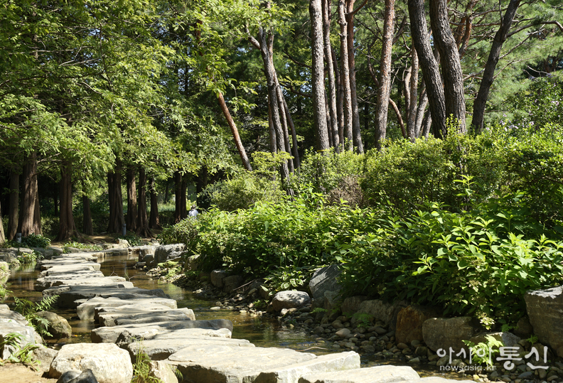 <경기도 양평군 양서면, <strong>"물과 꽃의 정원 세미원 여름 풍경)"</strong>> 김광부 기자