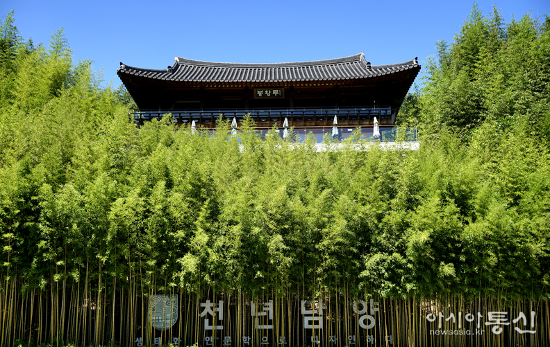 <전남 담양군 담양읍,<strong> "푸른 대숲이 선사하는 고요함과 청량함이 가득한 죽녹원"</strong>> 김광부 기자