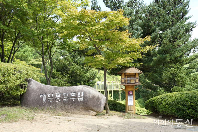 <강원도 평창군 봉평, <strong>"소설 메밀꽃 필 무렵 작가 이효석 선생, 그 삶과 작품을 만나는 봉평 이효석 문학관"</strong>> 김광부 기자