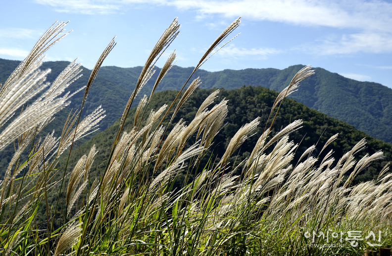 <경상북도 문경시 고모산성, <strong>"오정산에 위치한 고모산성은 삼국시대 신라성으로 군사방어용으로 지어진 석성"</strong>> 김광부 기자