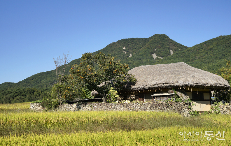 <충남 아산시 송악면,<strong> "아산 외암 민속마을 가을, 고즈넉한 돌담길 따라 조선시대로 시간 여행"</strong>> 김광부 기자