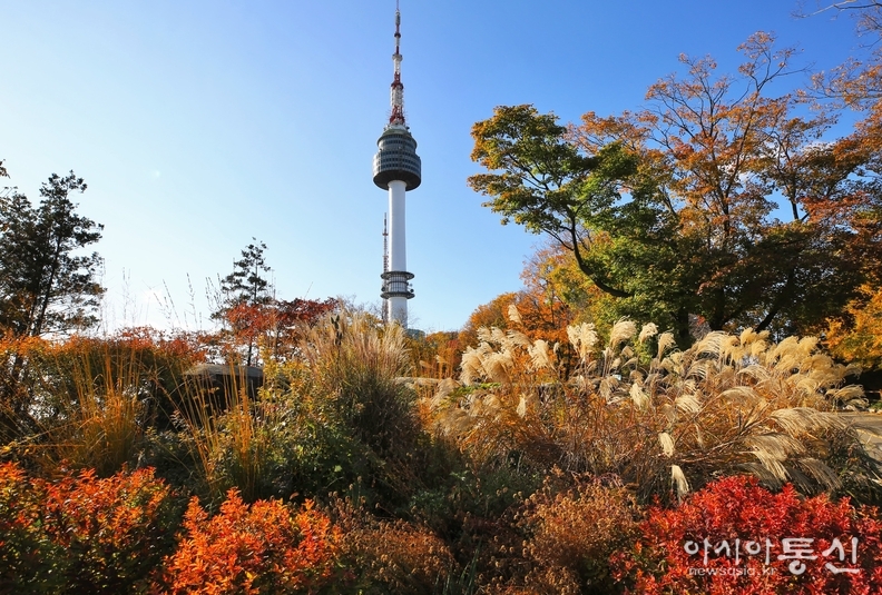 남산공원 가을풍경