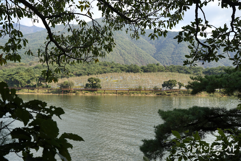 <충청북도 괴산군, <strong>"10월에 걷기좋은길 4선. 괴산 산막이옛길(멀리 보이는 사과밭)"</strong>>  김광부 기자