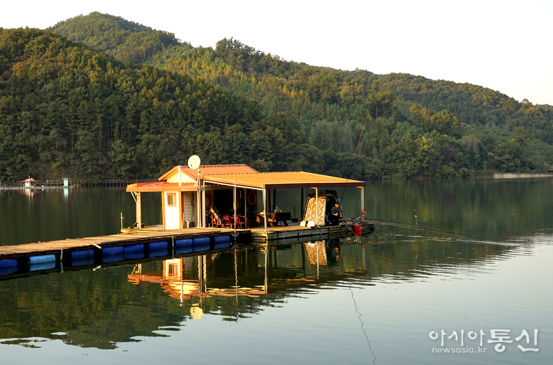 <충청북도 괴산군,<strong> "가을빛 내려앉은 문광저수지 은행나무길"</strong>>   김광부 기자