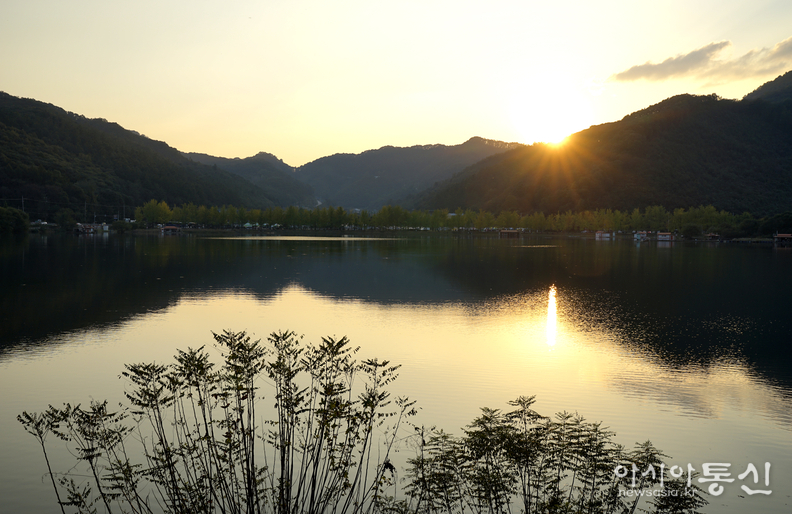 <충청북도 괴산군,<strong> "가을빛 내려앉은 문광저수지 은행나무길"</strong>>   김광부 기자