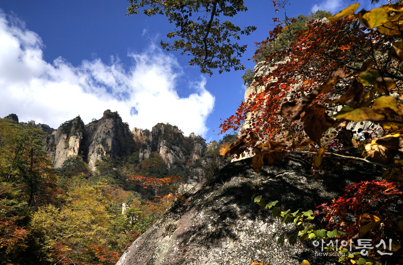 <강원도 양양군<strong>, "계곡과 폭포가 이어지고, 기암괴석 사이로,  설악의 가을이 머무는곳  남설악 오색 주전골"</strong>>  김광부 기자
