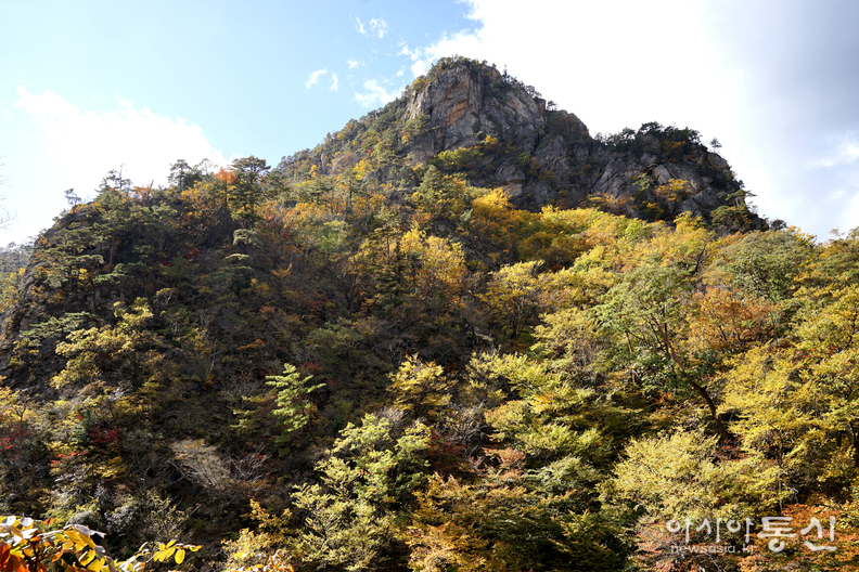 <강원도 양양군<strong>, "계곡과 폭포가 이어지고, 기암괴석 사이로,  설악의 가을이 머무는곳  남설악 오색 주전골"</strong>>  김광부 기자